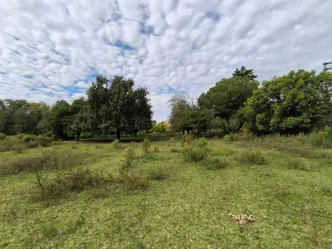 Terreno en Venta de 42000,0 m2