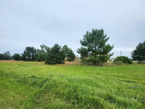 Terreno en Venta en Mar del Plata, USD 12.000