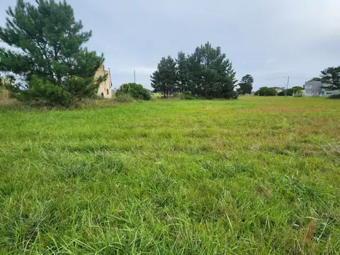 Terreno en Venta 25  mts Fondo