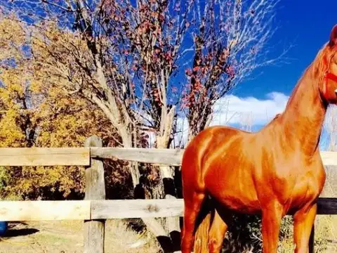 Venta de lote en Haras del Sol- Pilar