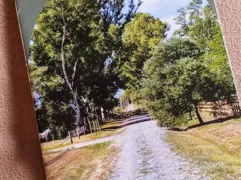 ARECO - LOTES DE 1 HECTAREA - EL GALO 