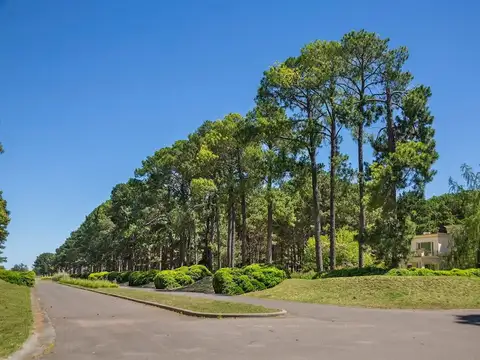 Terreno en Venta de 1507,0 m2