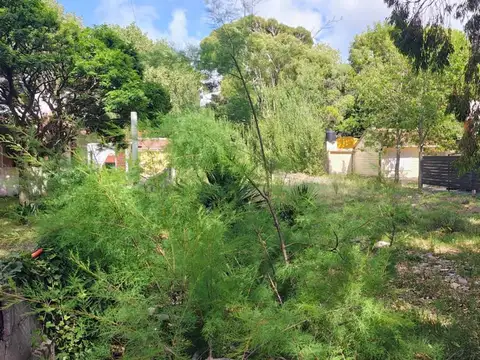 Terreno en Venta de 480,0 m2