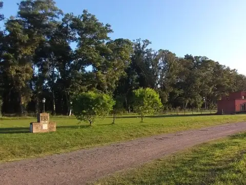 Avenida Fernández Beschtedt