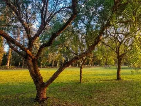 LOTE COMARCAS DE LUJAN 2000M2
