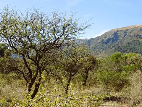 Terreno en Venta en Cortaderas, USD 18.000