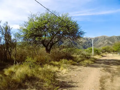 Terreno en Venta de 1000,0 m2