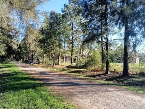 VENTA - TERRENO - ROLDAN