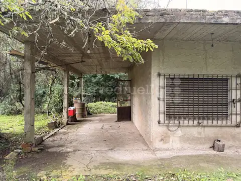 LA PLATA 100