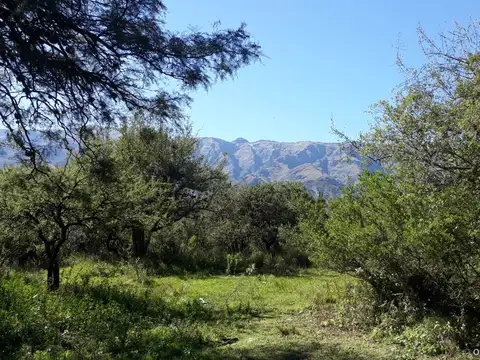 Terreno en Venta de 800,0 m2