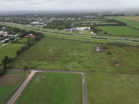 Venta – Campo de 4 Hectáreas en Funes | Ubicación Estratégica entre Av. Fuerza Aérea y Autopista Ros