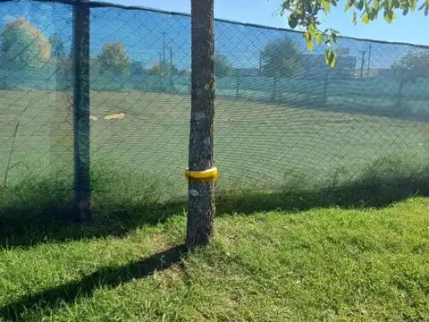 Terreno en Venta de 620,0 m2