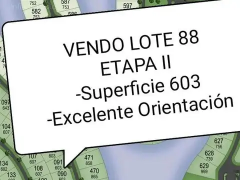 LOTE 88