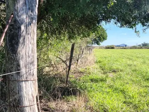 Campo en venta - 12.500Mts2 - Entre Ríos