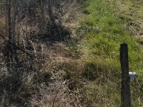 Campo en venta - 12.500Mts2 - Entre Ríos