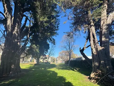 Terreno en Venta 49  mts Fondo
