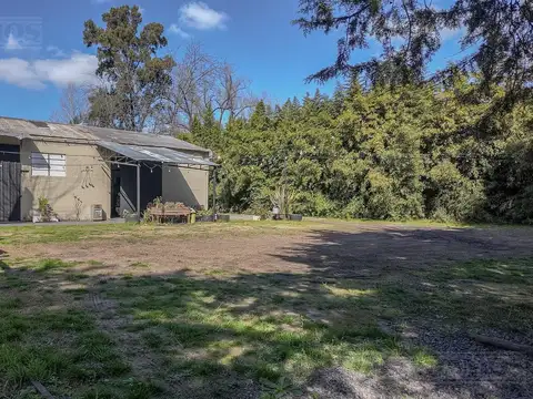 Juan Ambrosetti  al 600  Consultar precio.