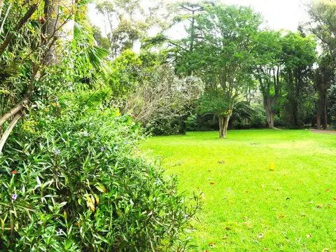 Casa Quinta con gran lote arbolado en venta en López Camelo, excelentes accesos!!