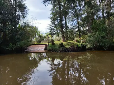 Terreno Lote  en Venta en Carapachay, Zona Delta, Tigre