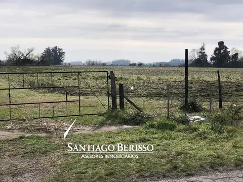Campo en Lima