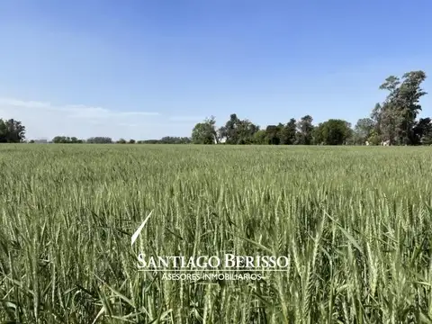 Campo en Lima
