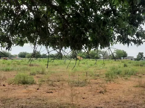 FRACCIÓN DE 8200M2 EN IBARLUCEA. ZONA URBANIZADA