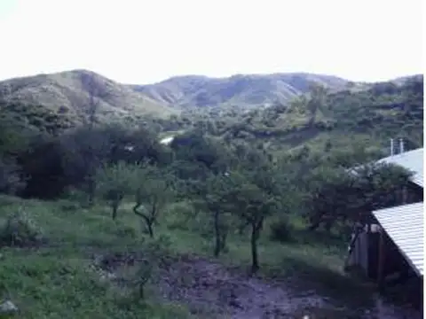 Ruta Provincial 5 100