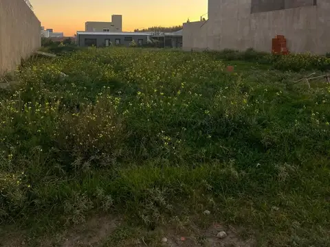LUCERO 2500