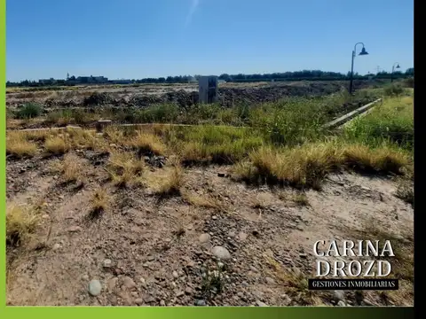 Terreno en Venta 21  mts Fondo