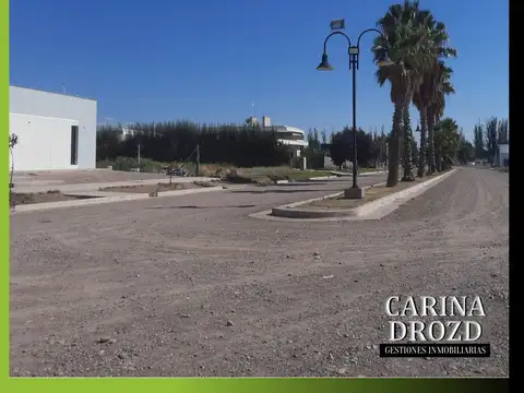 Terreno en Venta 21  mts Fondo