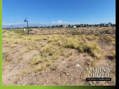 Terreno / Lote en venta de 1100m2 ubicado en Lunlunta
