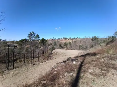 Terreno en Venta de 10720,0 m2