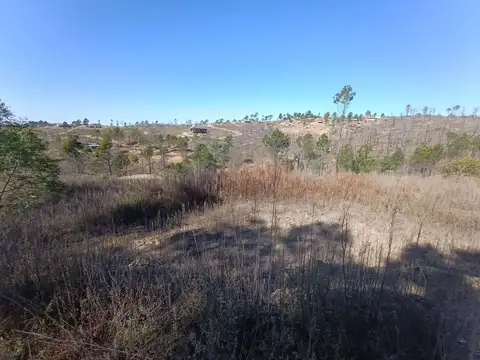 Terreno en Venta de 10720,0 m2