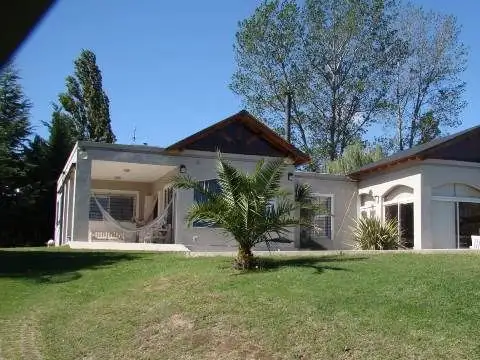 LOS OLIVOS 100