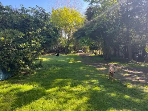 CASA 3 amb EN VENTA PILAR MANUEL ALBERTI