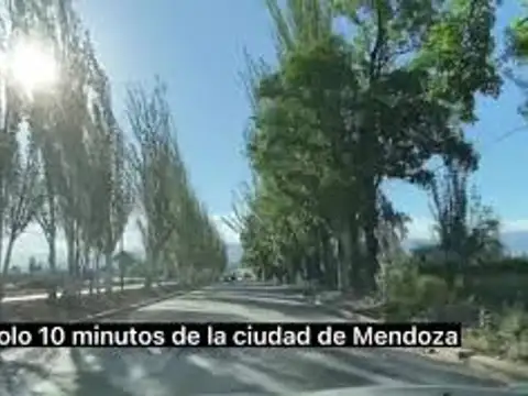 Terreno en Venta en Luján de Cuyo, Mendoza