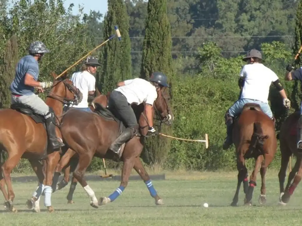Actividades deportivas futbol, tenis, polo en La Pintada Club de Campo & Polo