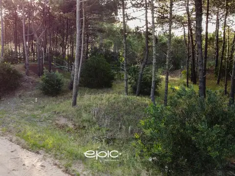 Helios entre Selene y Etoneo