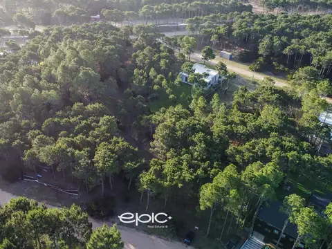 Helios entre Selene y Etoneo