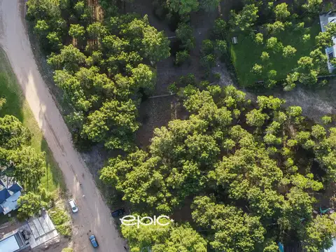 Terreno en Venta 20  mts Frente