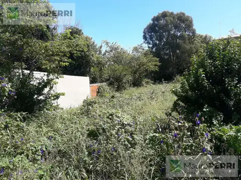 Terreno en Venta de 398,0 m2