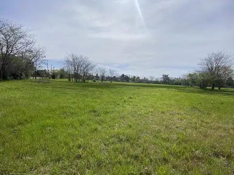 Terreno en Venta 29  mts Fondo