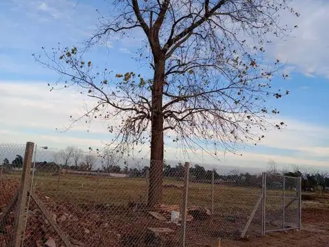 General Brigadier Manuel Calderón 3422