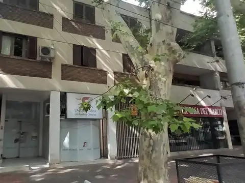 Dto 1º piso en alquiler calle Godoy Cruz Mza
