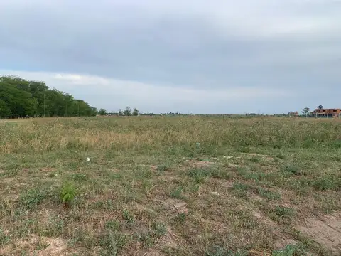 la plata 3700 Pueblo Nuevo