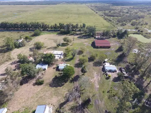 Campo en Venta Ganadero
