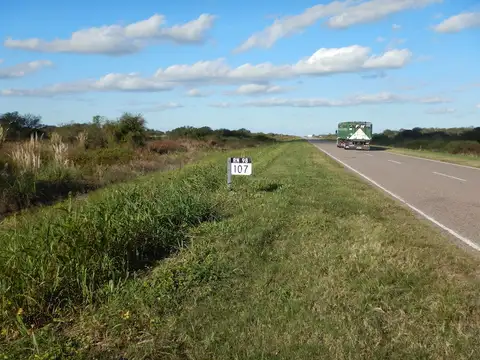 Campo en Venta de 10.135  ha