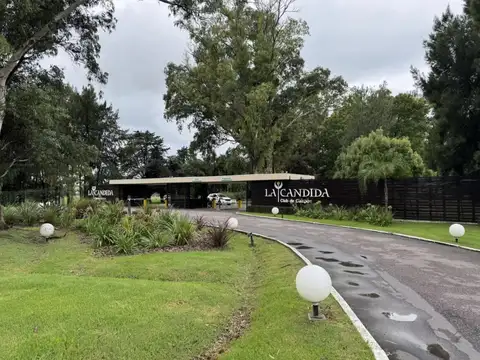 La Cándida