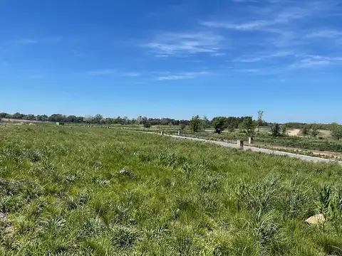 Terreno en Venta en Pilara, USD 179.000