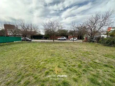 Terreno en Venta 32  mts Fondo